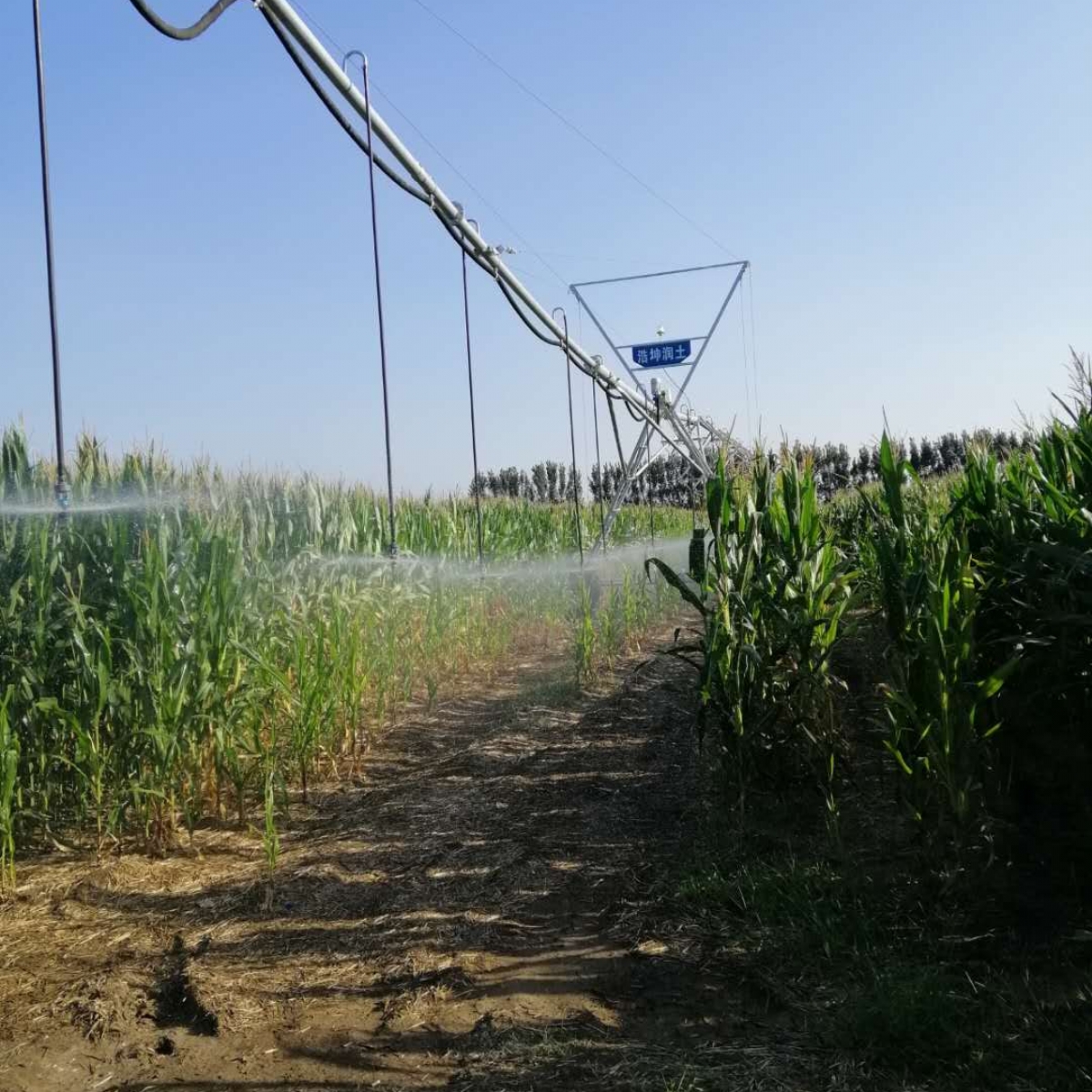 微噴（pēn）管設備試水