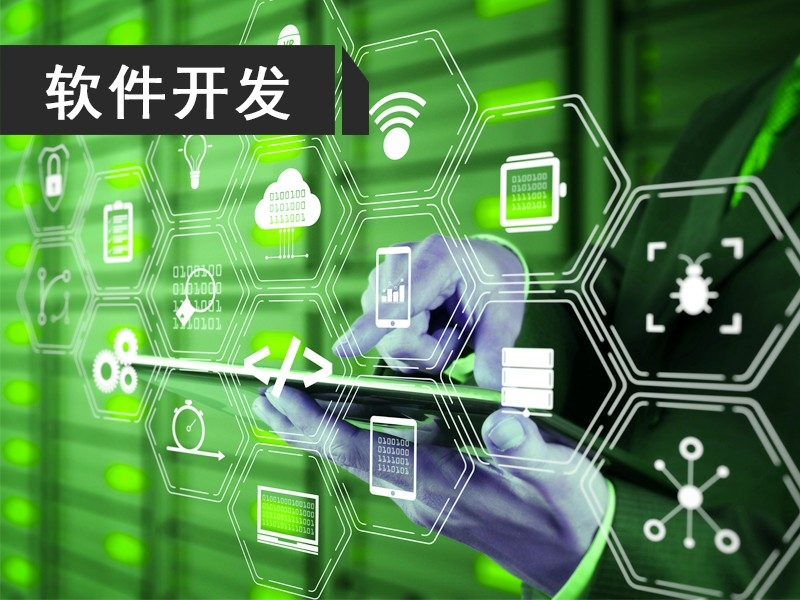 軟件開發